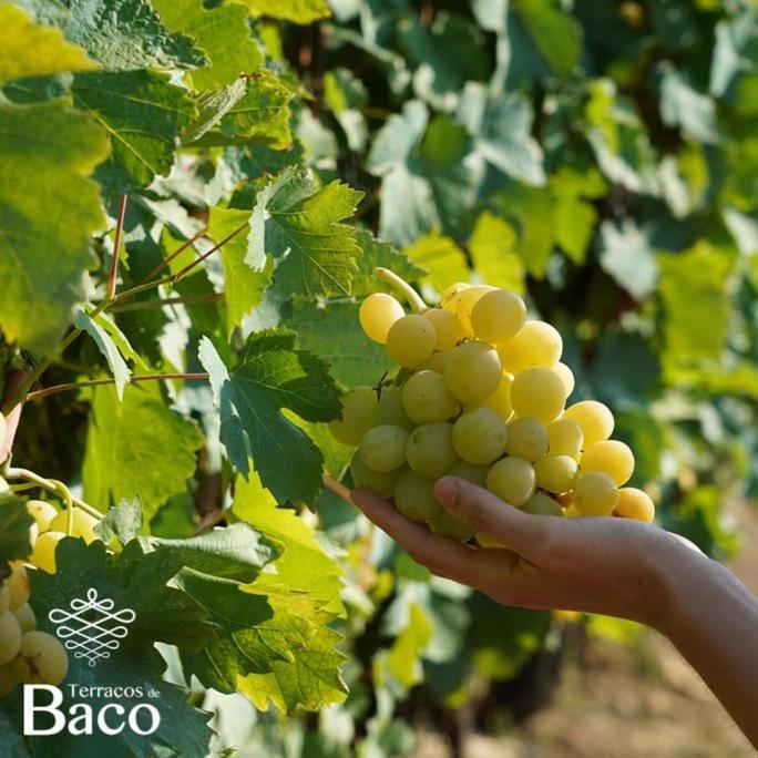 Terraços de Baco Ribalonga Exterior foto